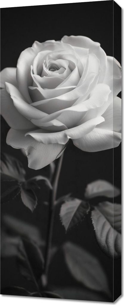 Bild 40x100cm Rosenblätter
