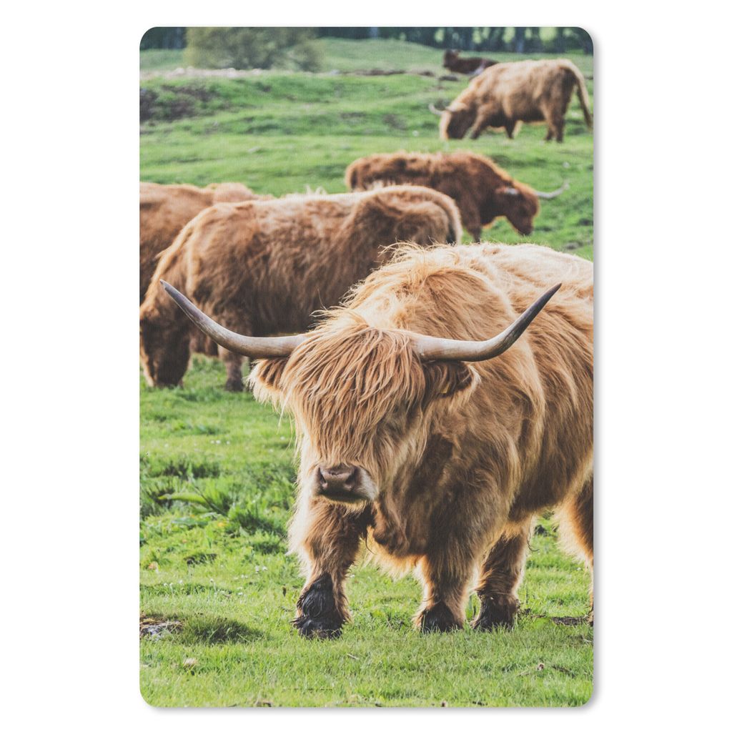 MuchoWow Mauspad Mousepad Herde - Schottischer Hochländer - Gras 18x27 cm - Mousepads - Maus Mat - Pad - Mausunterlage