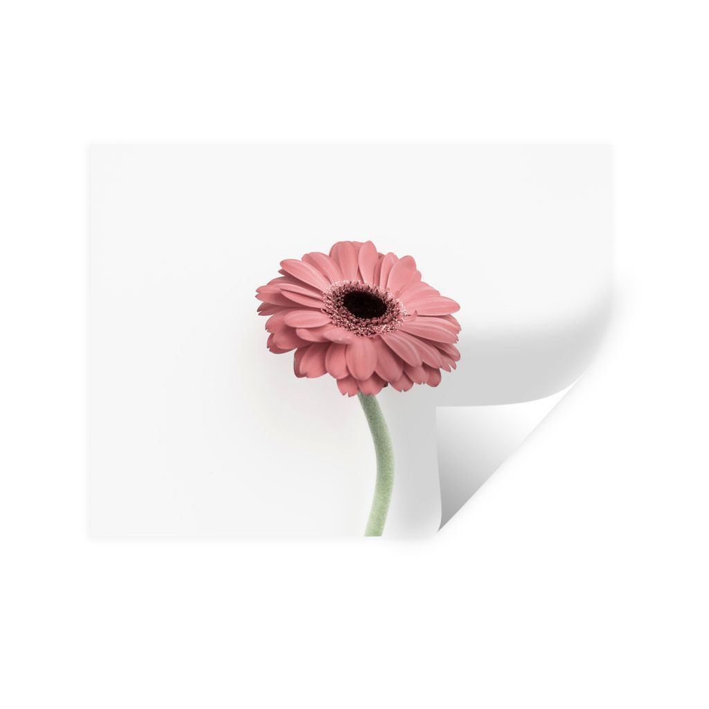 MuchoWow Wandtattoo Wandsticker Wandaufkleber Blumen - Rosa - Natur - Weiß - Pflanze 120x90 cm Selbstklebend und Repositionierbar - Aufkleber