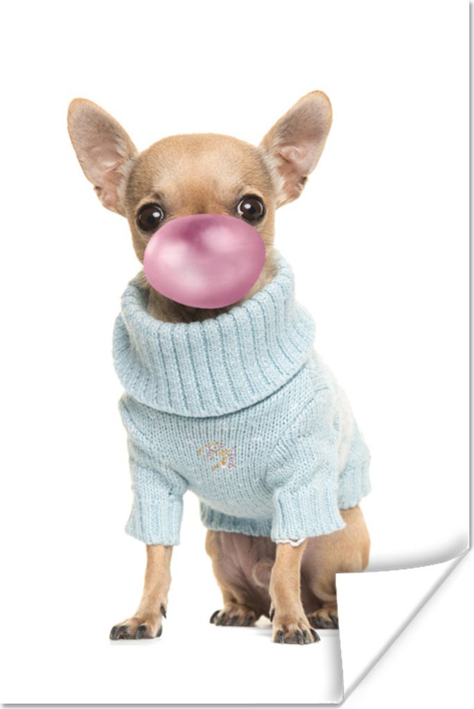 MuchoWow Poster Hund - Kaugummi pusten - Chihuahua - Spaß für Kinder - Mädchen - Jungen - Kinder 120x180 cm - Kunstposter