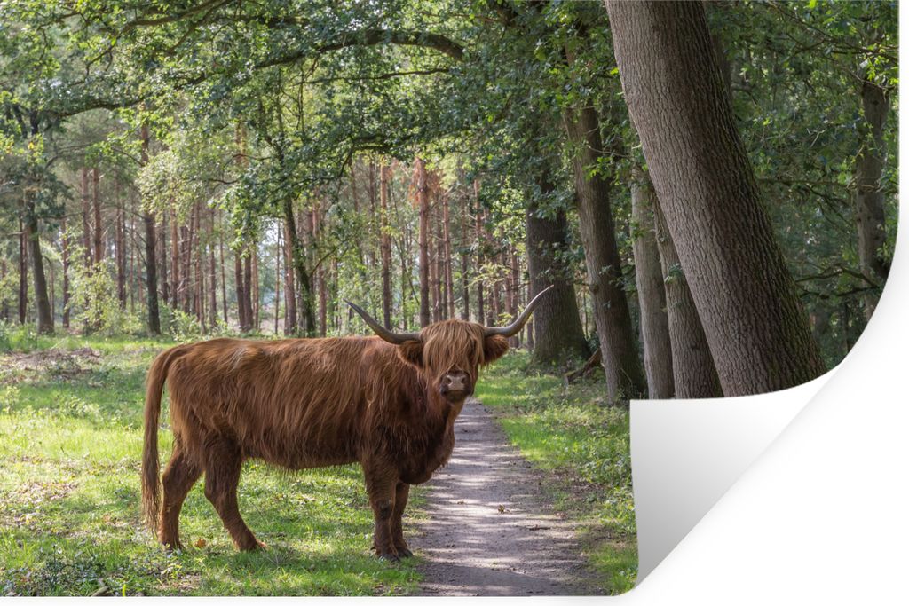 MuchoWow - Selbstklebend - Fototapeten