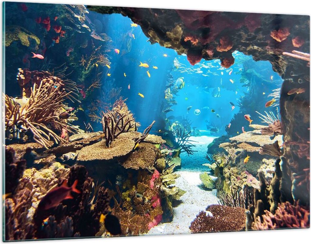 Bilder auf glas - Ozean Riff Fische Koralle - 120x80cm - Glasbilder - Wandbilder - Kunstdruck - zum Aufhängen bereit - Wanddekoration aus Glas - G...