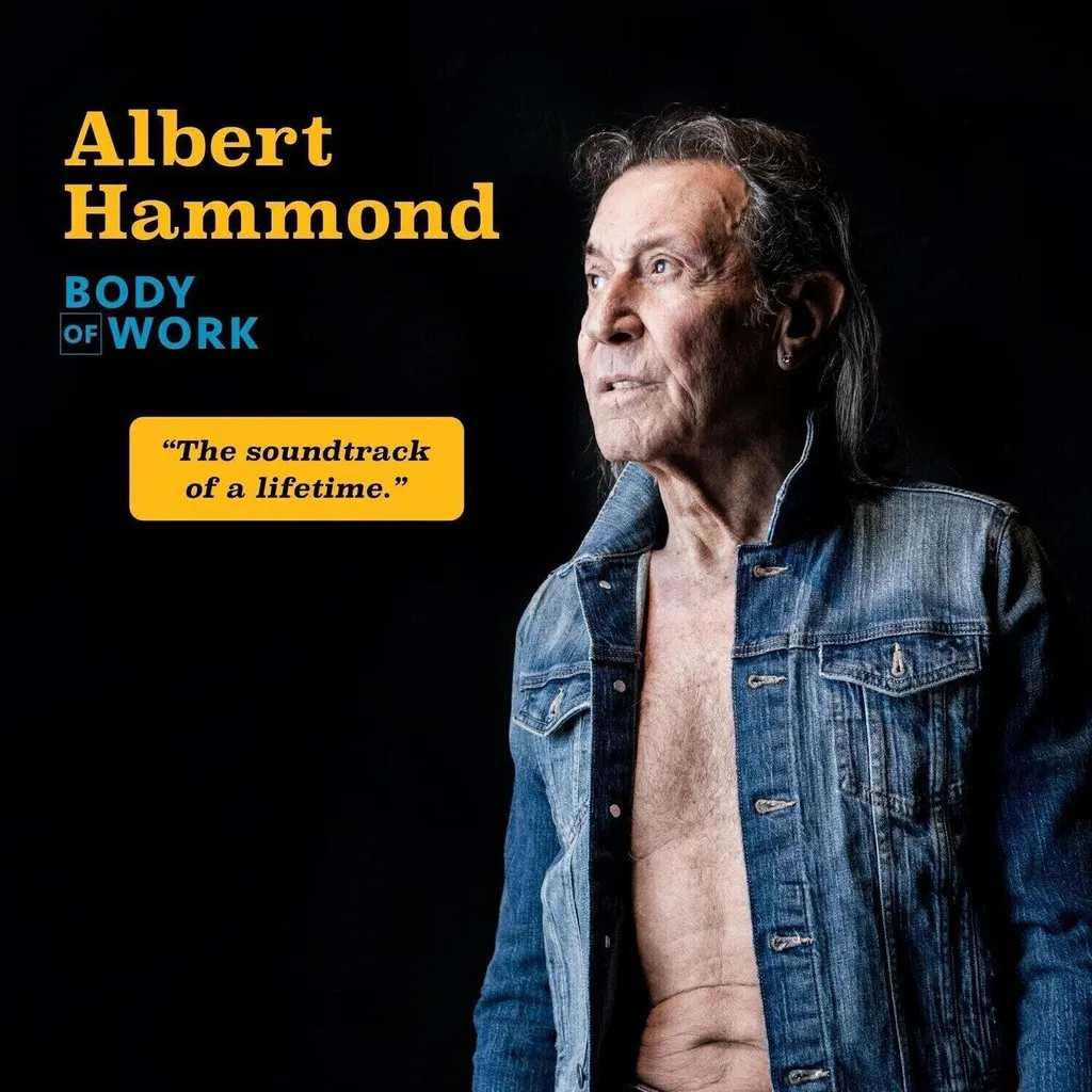 Vinyle Body Of Work 2LP Noir pour Collectionneur - Idéal Écoute Salon Hifi