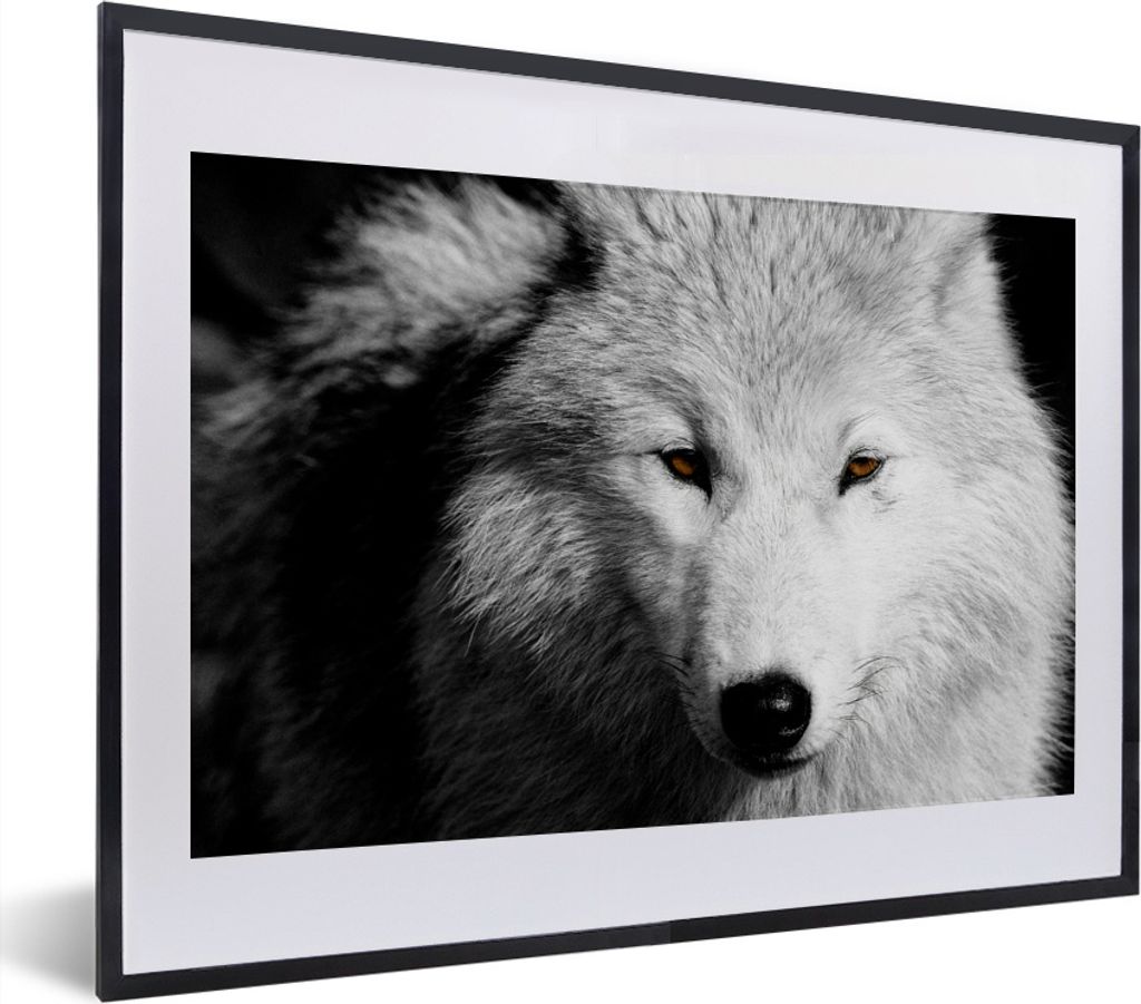 MuchoWow MuchoWow Gerahmtes Poster In der Nähe Ansicht Wolf in Schwarz und Weiß 40x30 cm - Poster mit zchwarzem Bilderrahmen - Bilderrahmen -...