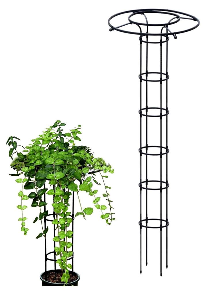 Vertikales Rankgitter aus rostfreiem Metall für den Garten, geeignet für Kletterpflanzen, Topfpflanzen, Gemüse und Blumen, für Innen- und Auße...