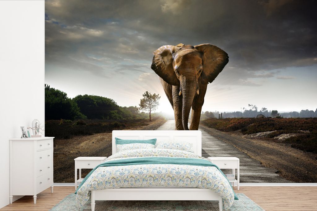 MuchoWow Fototapete für Wohnzimmer oder Schlafzimmer Wandtapete Vinyl Motivtapete Elefant - Natur - Straße - 525x350 cm - Das Hintergrundbild