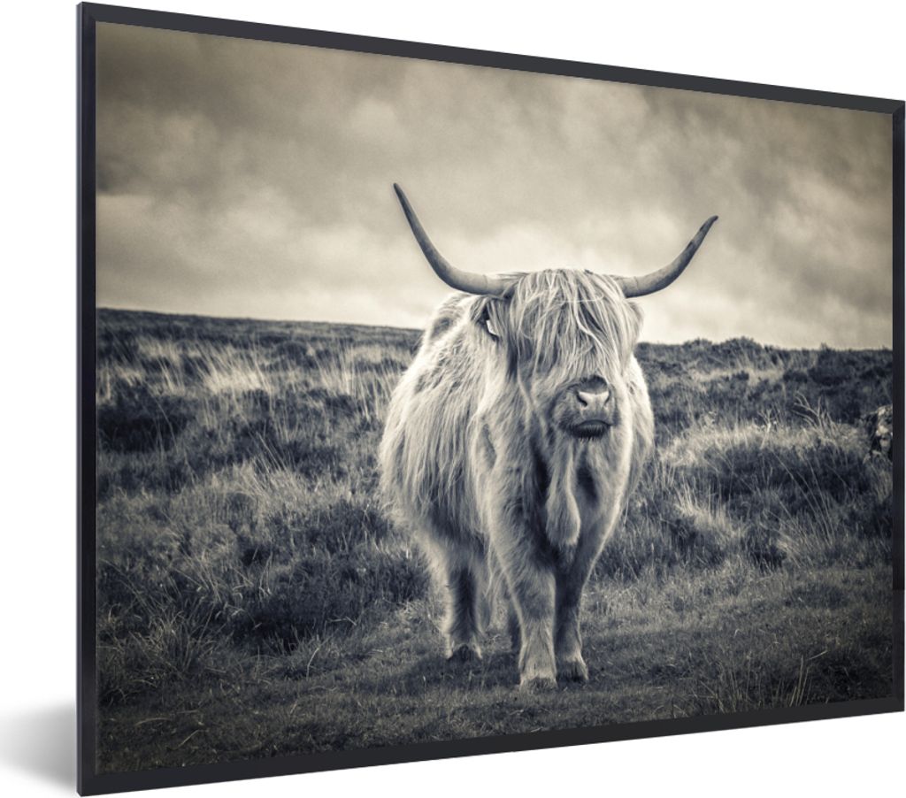 MuchoWow Gerahmtes Poster Schottischer Hochländer - Tiere - Wolken - Kuh - Natur 40x30 cm - Poster mit Schwarzem Bilderrahmen Wandposter Rahmen ...