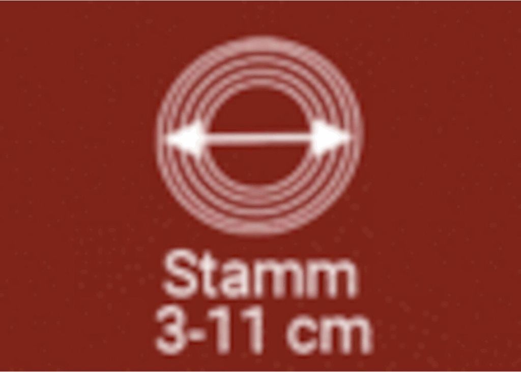 F-H-S Stojan na vánoční stromek Start 1 výška stromku max. Obrázek produktu 10