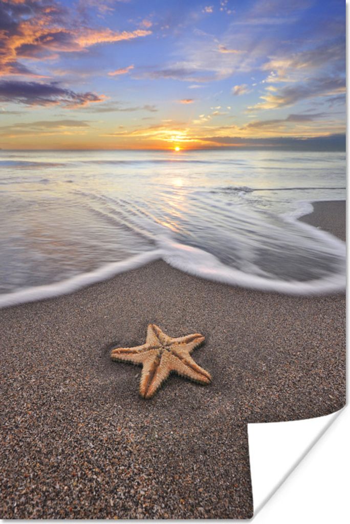 MuchoWow Poster Seestern - Wasser - Sonne 40x60 cm - Plakate für die Wand - Poster Babyzimmer