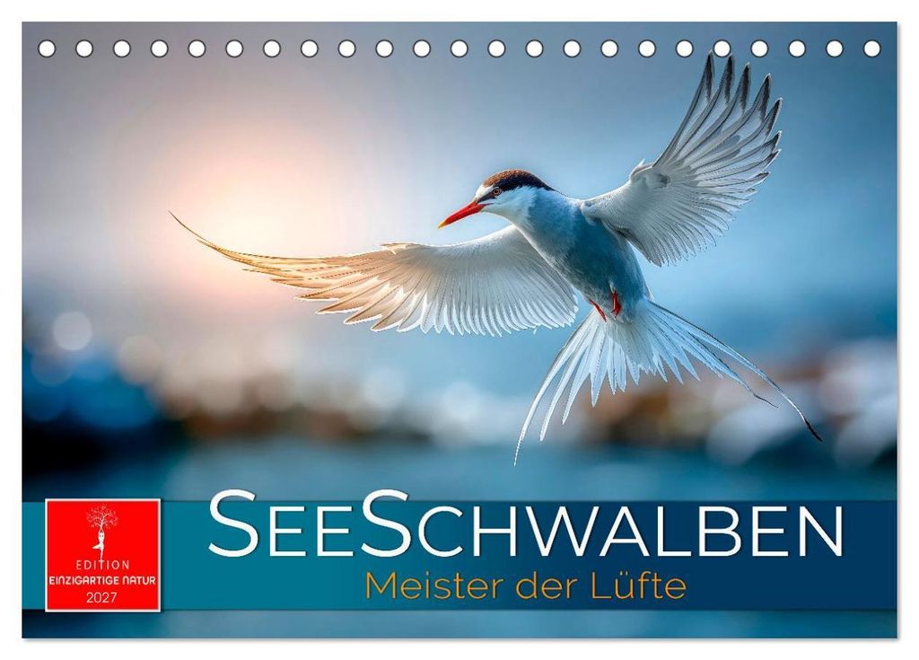Seeschwalben - Meister der Lüfte (Tischkalender 2027 DIN A5 quer), CALVENDO Monatskalender