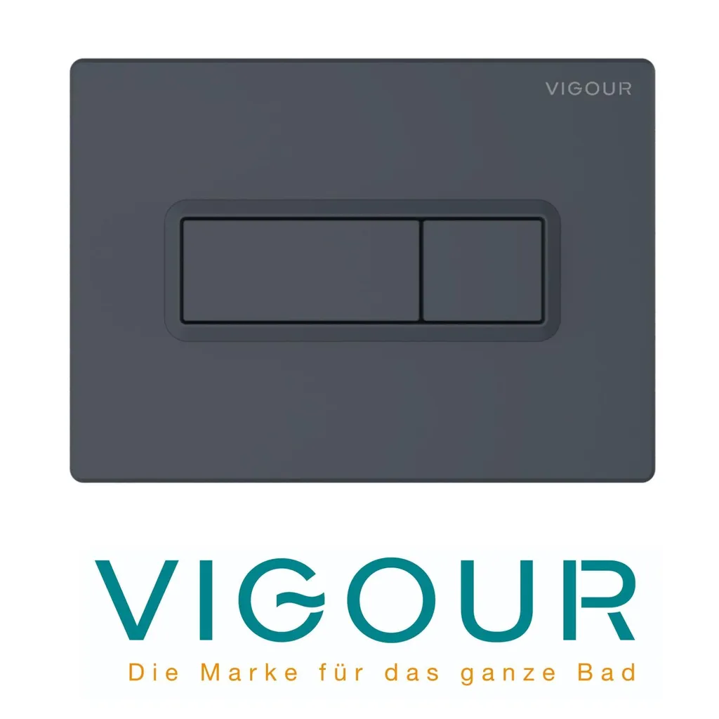 Plaque WC Rinçage Double VIGOUR TEES Design Anthracite Mat Robuste
