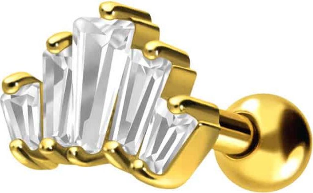 Ohrpiercing Chirurgenstahl Ohrpiercing 5 EINGEFASSTE KRISTALLRECHTECKE