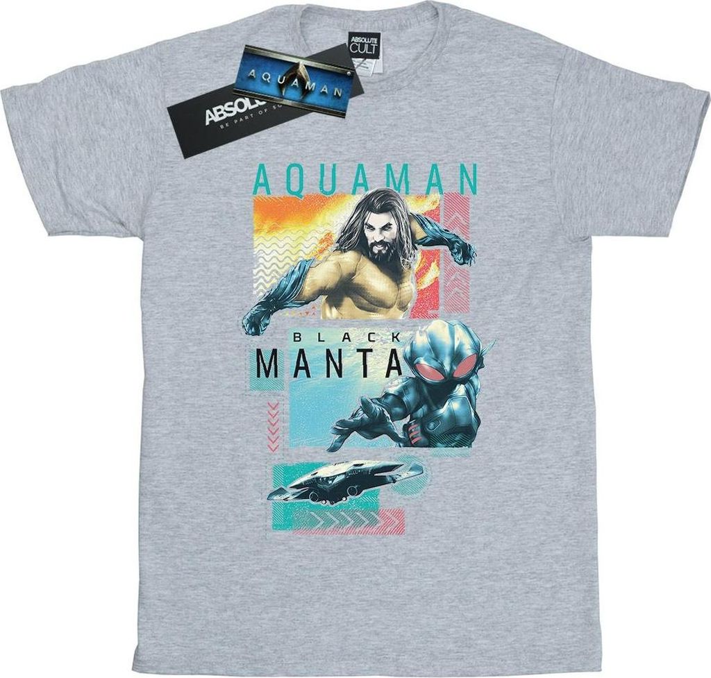 DC Comics - T-Shirt für Herren BI11482 (M) (Grau)