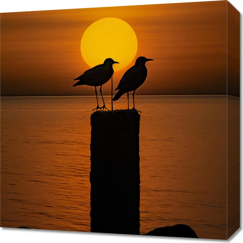 Quadro su Tela Conversazioni al Tramonto 50x50 | Regalo Emozionale