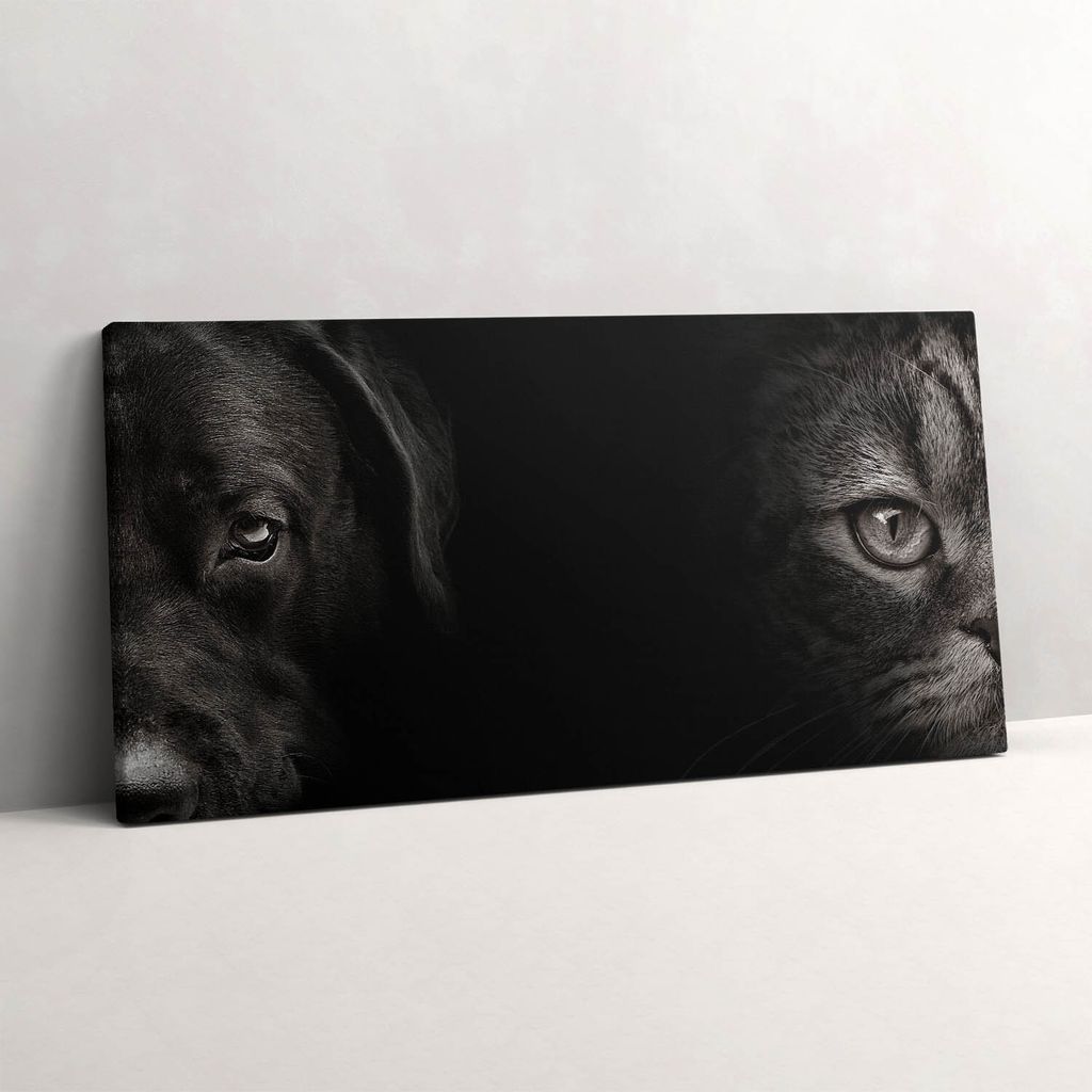 Labradorhund und schottische Katze – Leinwandbild Wandbild – 140x70 cm – Leinwandbilder – Wandbilder – Schlafzimmer – Flur