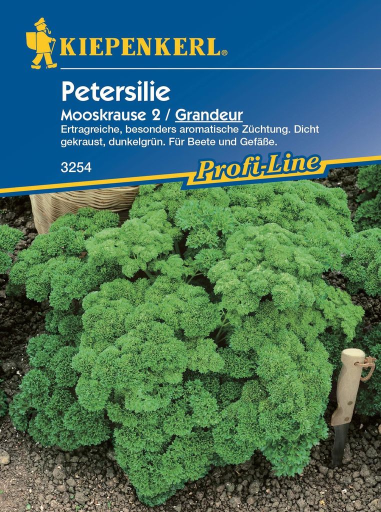 Petersilie Grandeur | Petersiliensamen von Kiepenkerl [MHD Produktbild 