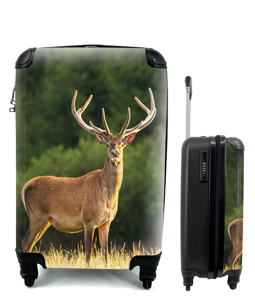 MuchoWow Koffer Handgepäck Trolley Rollkoffer Kleine Reisekoffer mit 4 Rollen - Hirsch - Geweih - Gras - Natur - Tiere - Grün - Cabin Size < 55...