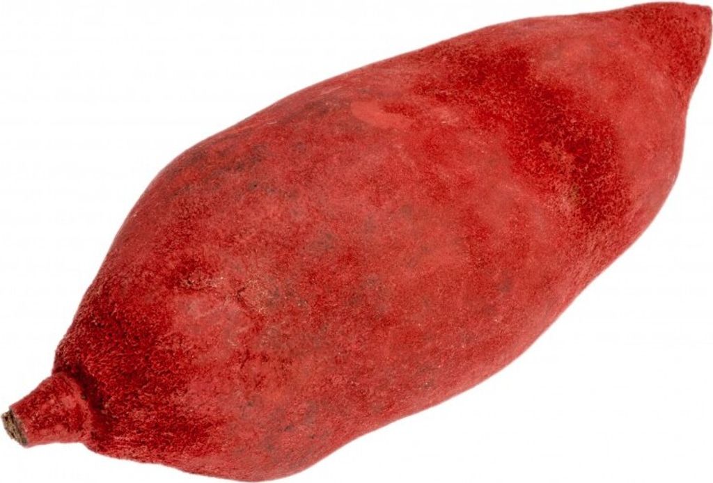 Baobab  Frucht rot ca. 9-12cm | Adansonia digitata Produktbild 