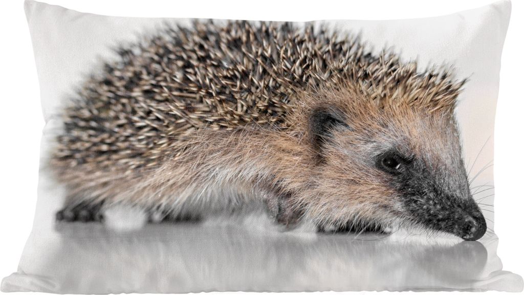 MuchoWow Zierkissen Sofakissen Wohnzimmer Dekokissen 50x30 cm Igel auf weißem Hintergrund - Wohnzimmerdekoration - Polster mit Photo
