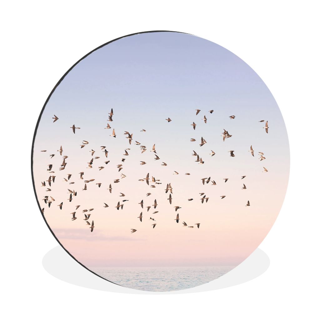MuchoWow Aluminium Wandkreis Vögel - Meer - Himmel - Natur - Sommer Ø 90 cm Wanddeko Modern Wohnzimmer - Mauerkreis - Wandbilder - Runde Bild -...