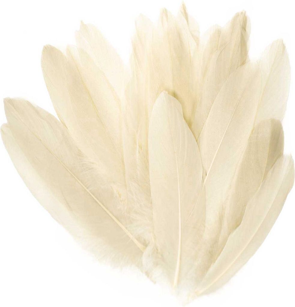 20 Entenfedern 15-21cm Bastelfedern Federn Dekofedern f. Hüte Kostüme Basteln