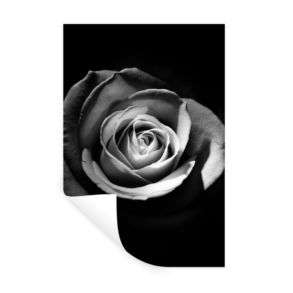 MuchoWow Wandtattoo Wandsticker Wandaufkleber Blumen - Schwarz - Rose - Weiß - Botanisch 60x90 cm Selbstklebend und Repositionierbar - Sticker -...