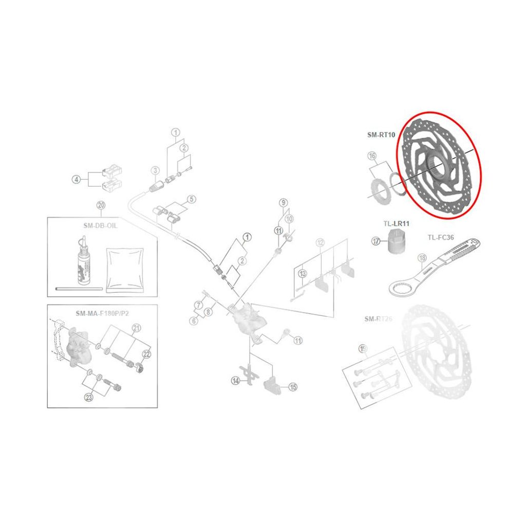 Shimano Sm Rt10 Center Lock  180 mm Produktbild 