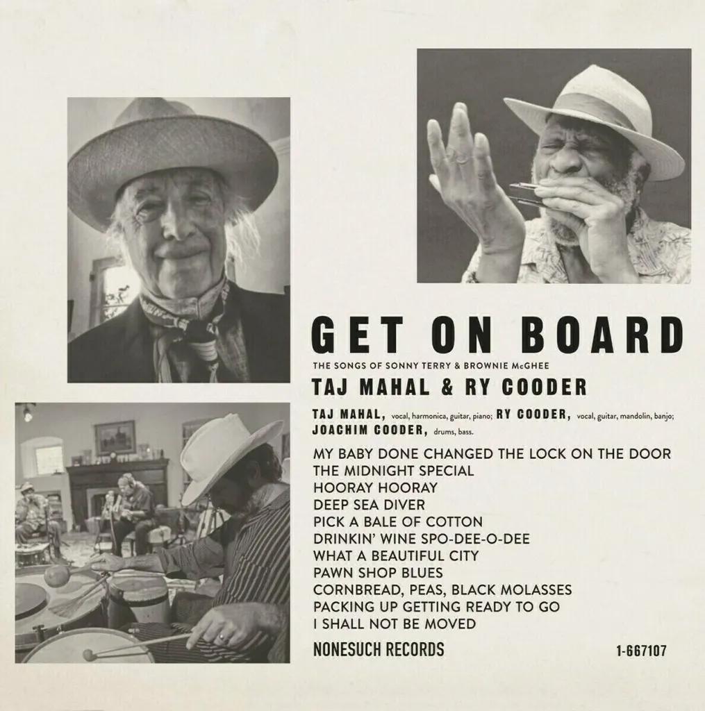 Vinyle Taj Mahal Get On Board - Retrouvez le Son Analogique du Blues