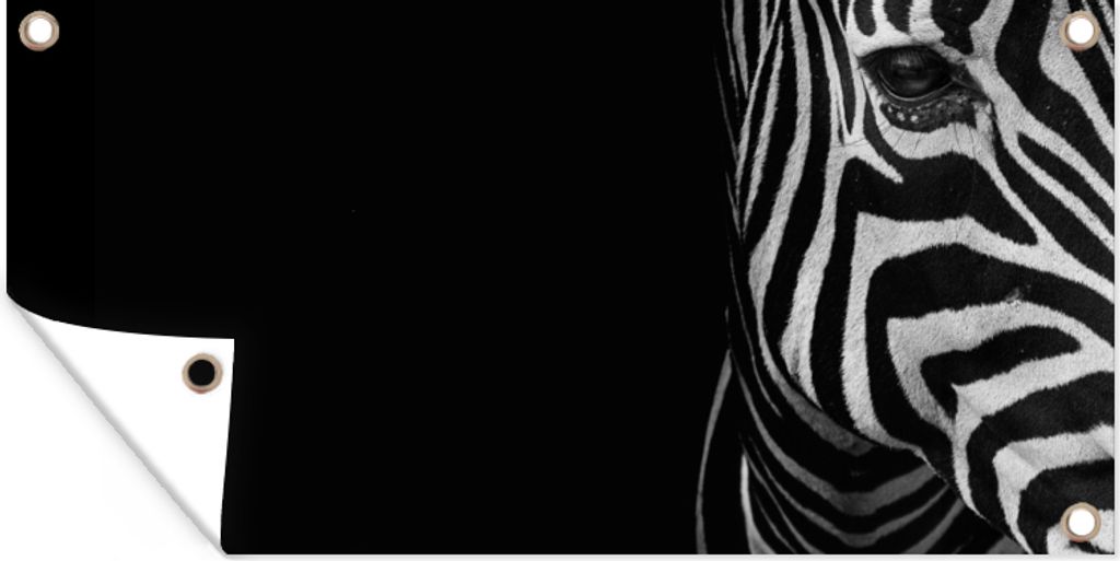 MuchoWow 60x30 cm Outdoor-Poster Gartendeko Sichtschutz Garten Poster für den Garten Tiere - Zebra - Schwarz - Weiß