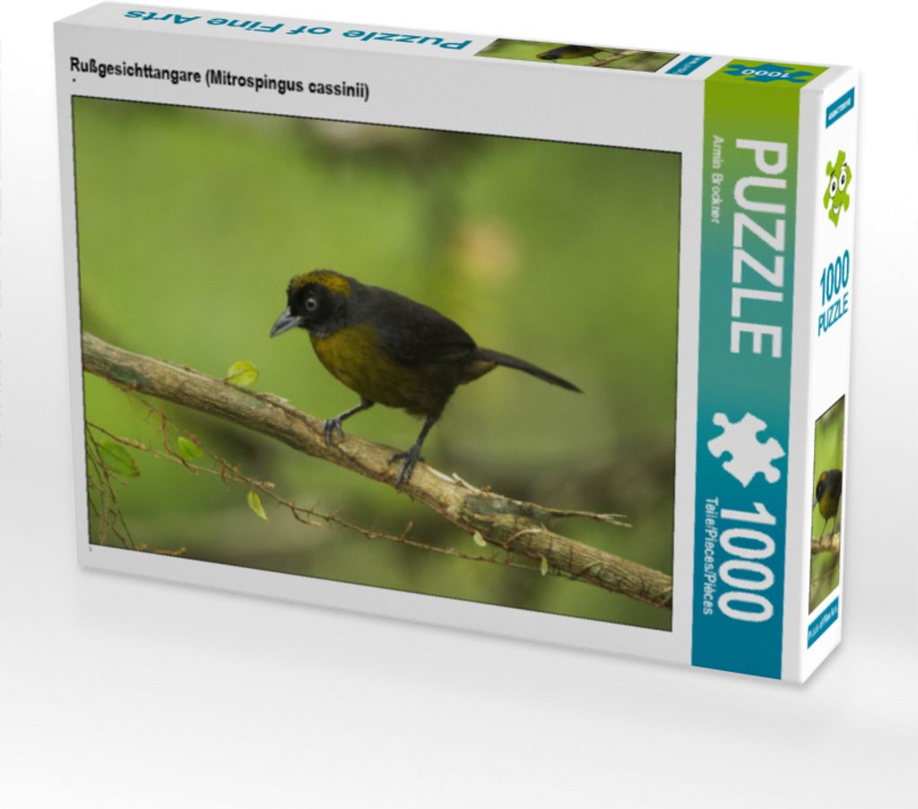CALVENDO Puzzle Rußgesichttangare (Mitrospingus cassinii) | Produktbild 