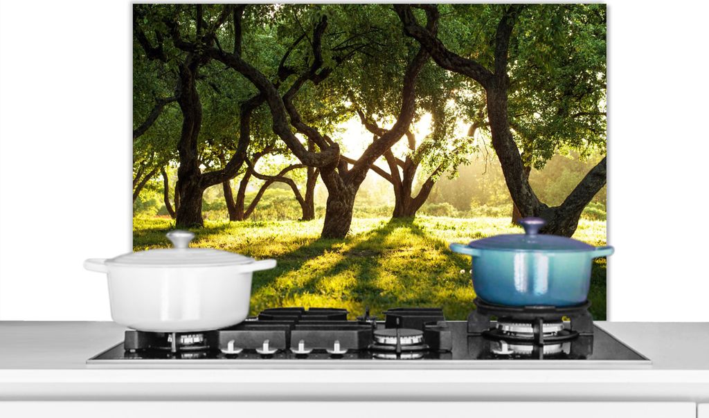 KitchenYeah Spritzschutz Küche - Küchenrückwand - Wandschutz für Herd und Spüle - Bäume - Natur - Sonne 80x55 - Alu-Dibond (Alternative zu...