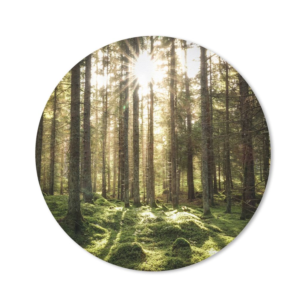 MuchoWow Mauspad Mousepad Wald - Moos - Baum 30x30 cm - Mousepads - Maus Mat - Pad - Mausunterlage - Tischunterlage - Schreibtischmatten