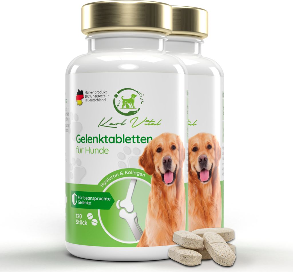 Gelenktabletten für Hunde Grünlippmuschel MSM Teufelskralle Kollagen 240 Stück Vorteilspack