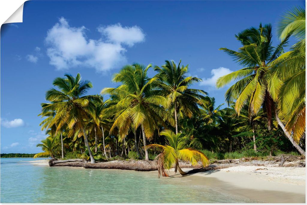 ARTland Poster Palmenstrand I Größe: 60x40 cm
