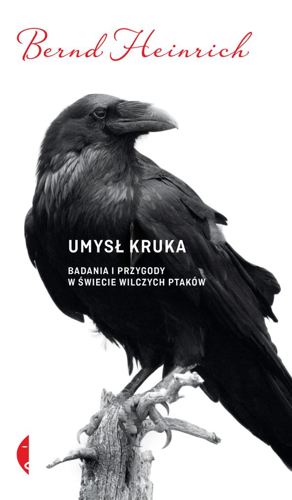 Umysł kruka. Badania i przygody w świecie wilczych ptaków