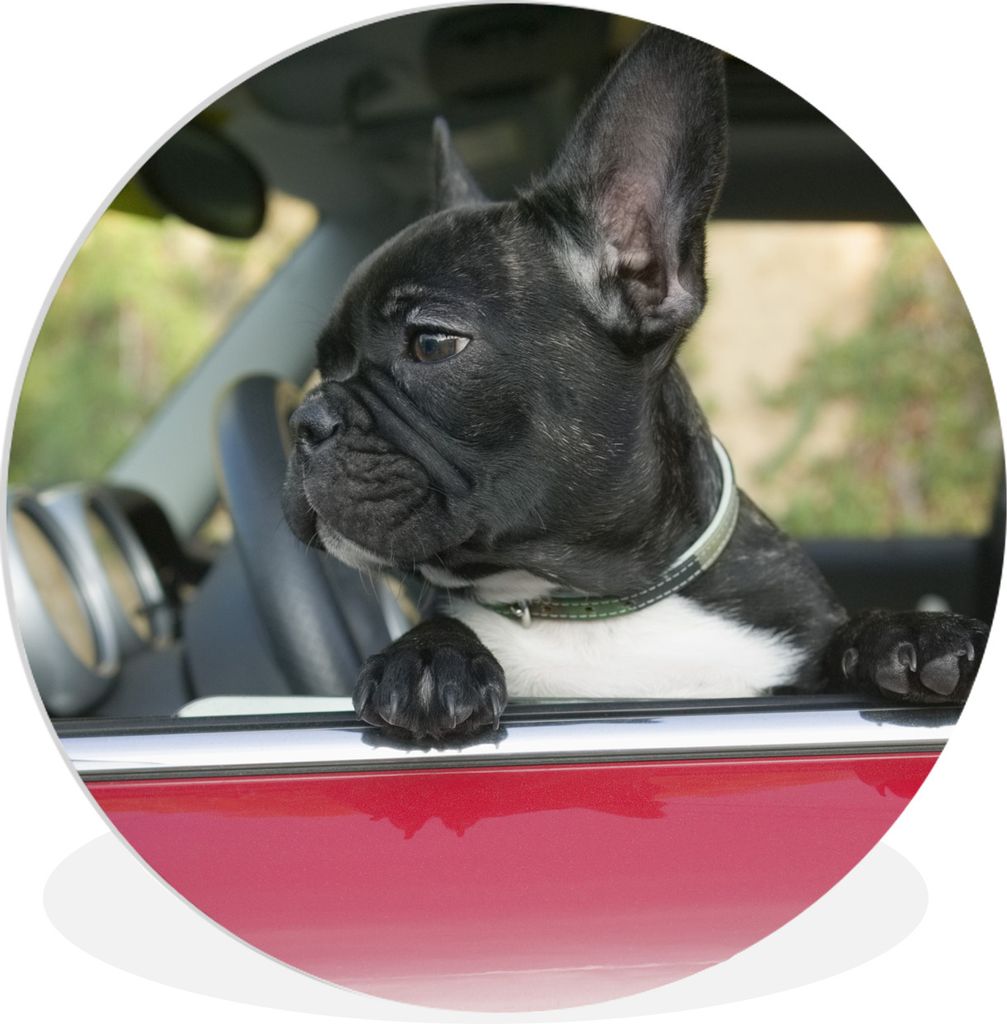 MuchoWow Rundes Wandbild - Runde Bilder Französische Bulldogge - Auto - Rot Ø 60 cm Kreis Wanddekoration Kunststoff - Wandkreis - Wandschmuck -...