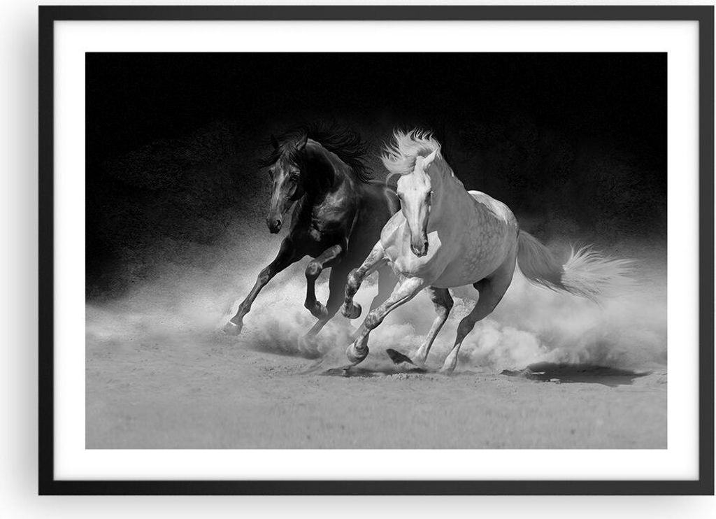 Gerahmtes Poster - Schwarzer Rahmen - Andalusier Pferde Galopp - 70x50 cm - Wand Bild - Wanddeko - Wandbilder - Wandposter - Bilderrahmen - Bilder ...