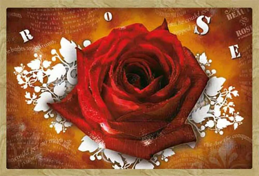 Poster Sous Verre Acrylique Rose Flowers avec Cadre Bois Clair 61x91