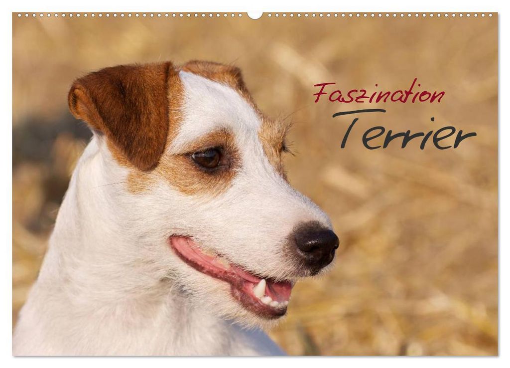 Faszination Terrier (Wandkalender 2027 DIN A2 quer), CALVENDO Monatskalender