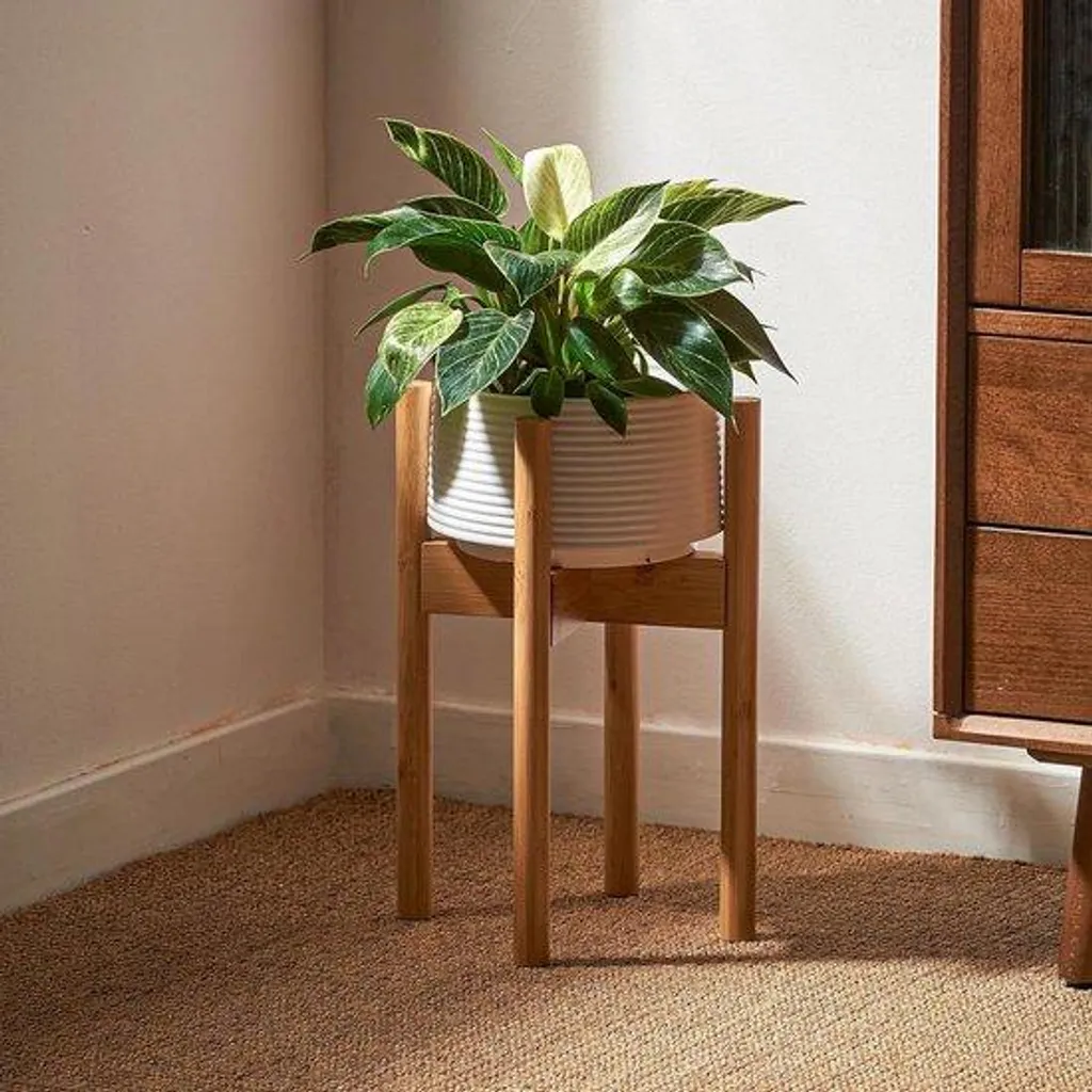 Support de plante 20-30 cm en pierre naturelle résistante et stable