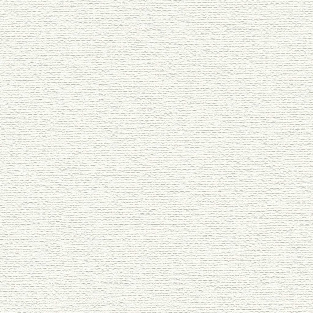 A.S. Creation | Premium Wall 2 | 389751 | Vliestapete | Einfarbig | 10.05 x 0.53 m | Weiß | Wohnzimmer | Flur | Büro | Küche | Wohnräume