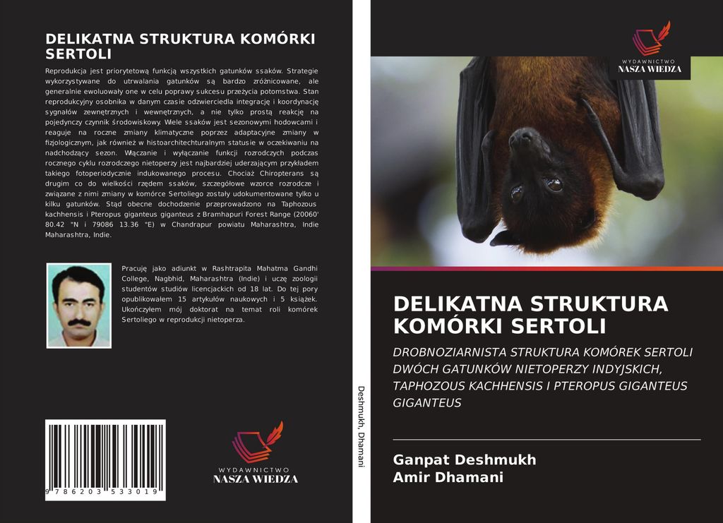 Delikatna Struktura Komórki Sertoli