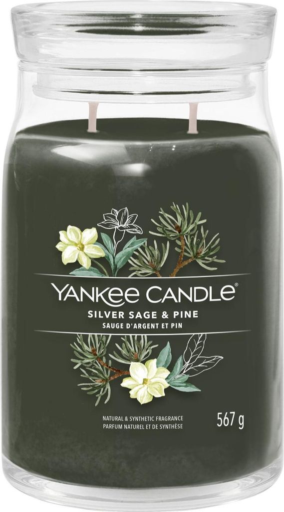 Silver Sage & Pine - Yankee Candle - große Duftkerze Produktbild 