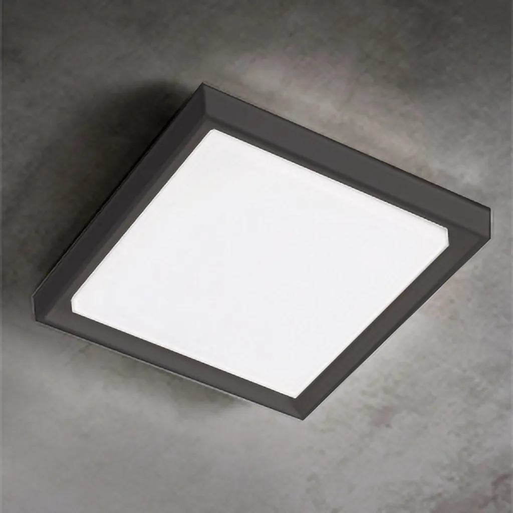 Luminaire Mural et Plafonnier LED Moderne IP54 pour Intérieur et Jardin