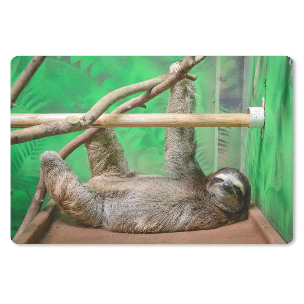 MuchoWow Mauspad Mousepad Ein Faultier, das auf einem Tisch im Zoo liegt 27x18 cm - Mousepads - Maus Mat - Pad - Mausunterlage - Büroartikel - D...
