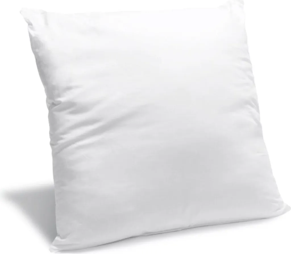 Oreiller 60x60 Moelleux avec Protection Anti-punaises de lit Efficace