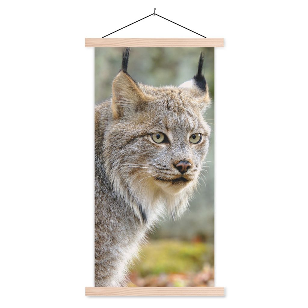 MuchoWow Textilposter Luchs - Wald - Grau 40x80 cm mit holzfarbenen Rahmen - Wohnzimmer