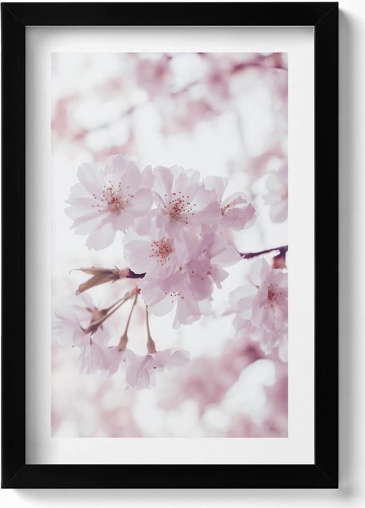 Zarte blassrosa Blumen– Wandbild mit Rahmen – Gerahmtes Bild – Wanddekoration – 20x30 cm – Schwarz