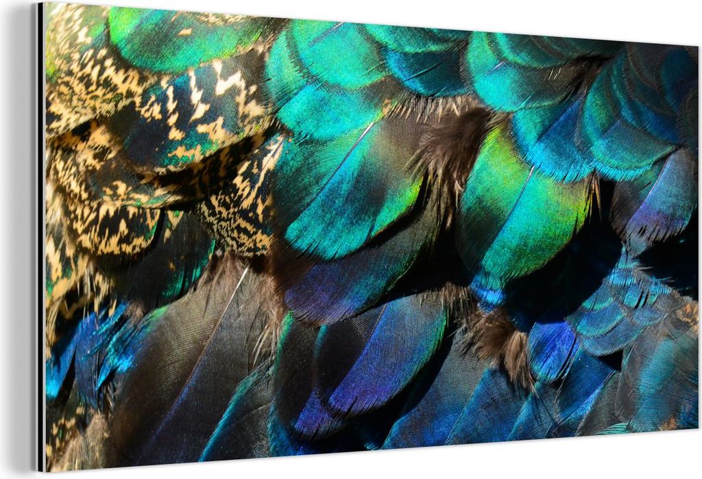 MuchoWow Wanddekoration Metall Metallbild Wandkunst 40x20 cm Federn - Pfauenfedern - Pfau - Blau - Kunst MuchoWow Aluminium Gemälde - Bild - Alumi...