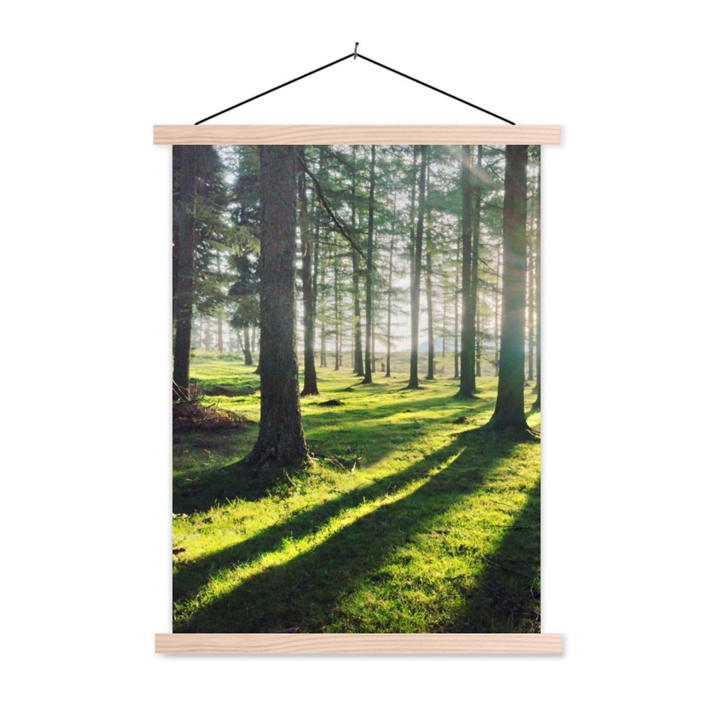 MuchoWow Textilposter Bäume - Natur - Wald 120x160 cm mit holzfarbenen Rahmen - Plakatkarton